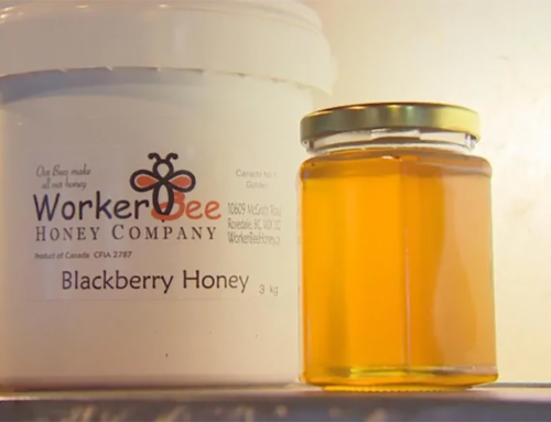 A B.C. solution to taking the sting out of honey fraud